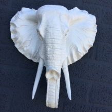 Beautiful white elephant head wall ornament, beautiful!!